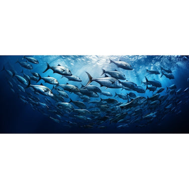 Fish Painting Wall Art